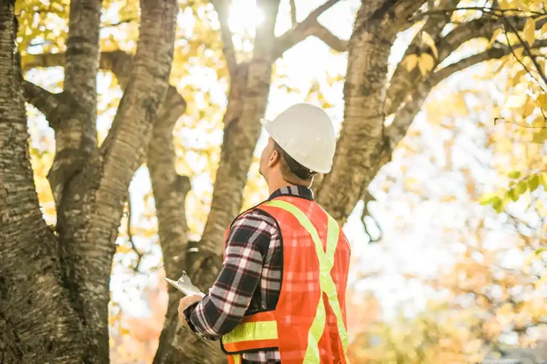 Environmental considerations in excavation work